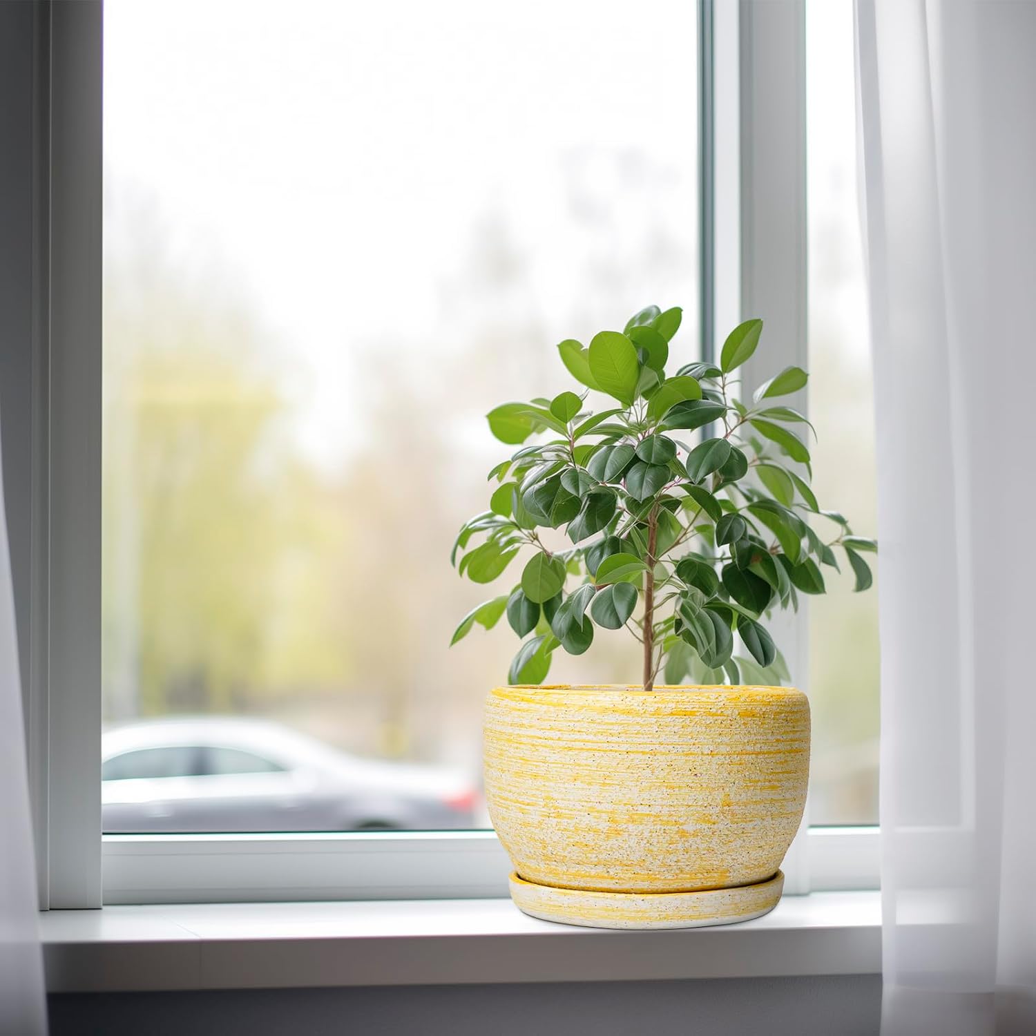SQOWL Ceramic Flower Pots - 8 inch Plant Pot Indoor with Drainage Hole and Saucer, Modern Ceramic Planter Outdoor