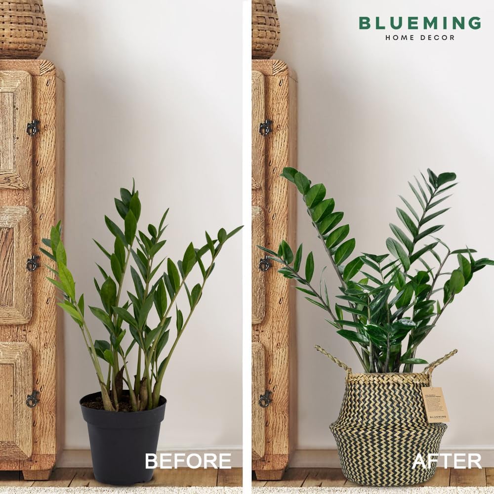 Blueming Home Wicker Plant Basket – Large Seagrass Floor Pot for Faux Olive Tree or Snake Plant, Black Decorative Woven
