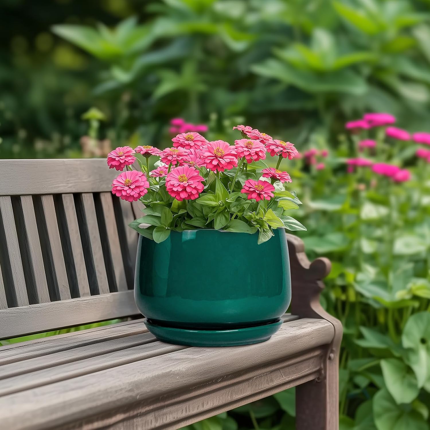 G EPGardening Ceramic Planter for Indoor Plants - 7 Inch Plant Pot, Round Planter with Drainage and Saucer, Round