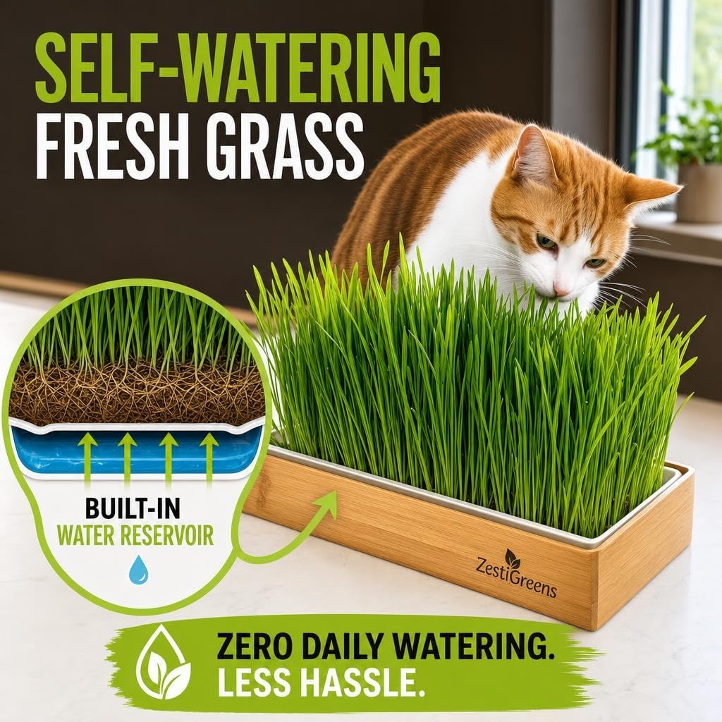 Cat Grass for Indoor Cats - Self-Watering Cat Grass Planter Kit | Reusable no-soil self-watering planter grows fresh