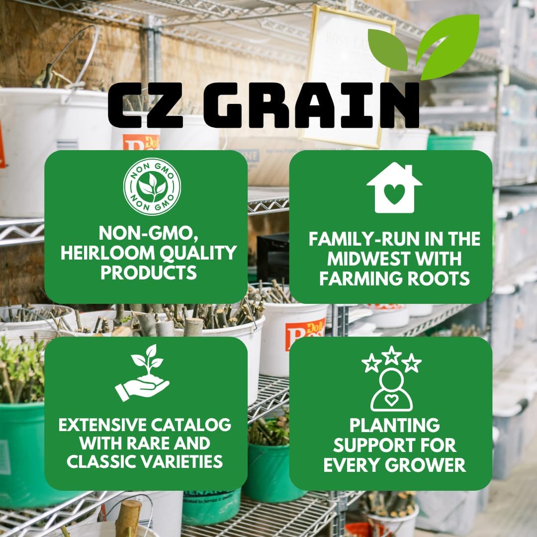 Asparagus & Strawberry Roots Variety Pack | 30 Live Bare Root Plants | 3 Asparagus Varieties + 3 Strawberry Varieties