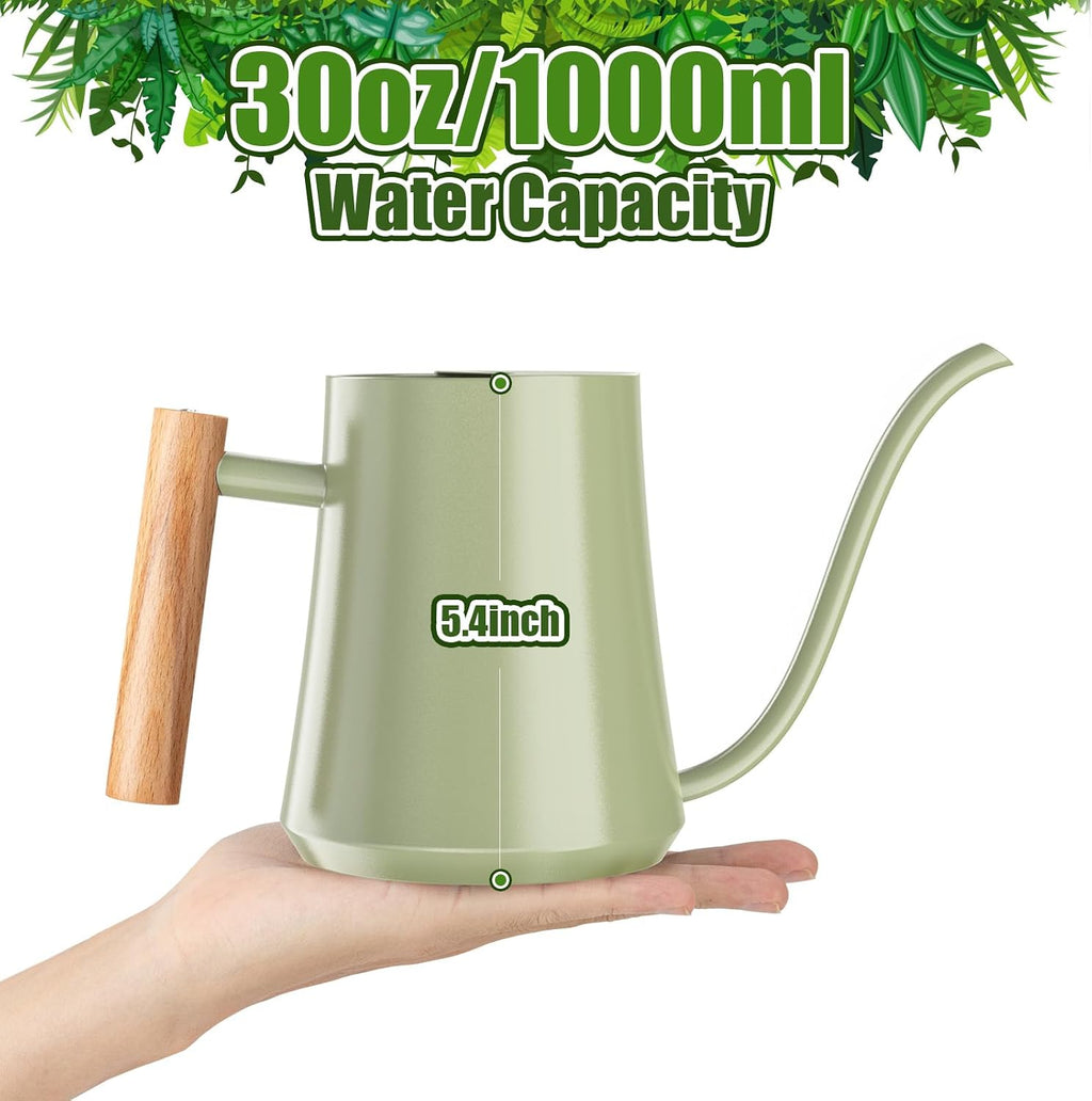 1L/35oz Metal Watering Can Indoor with Long Spout, Sage Green | Metal Stainless Steel Watering Can with Wood Handle for