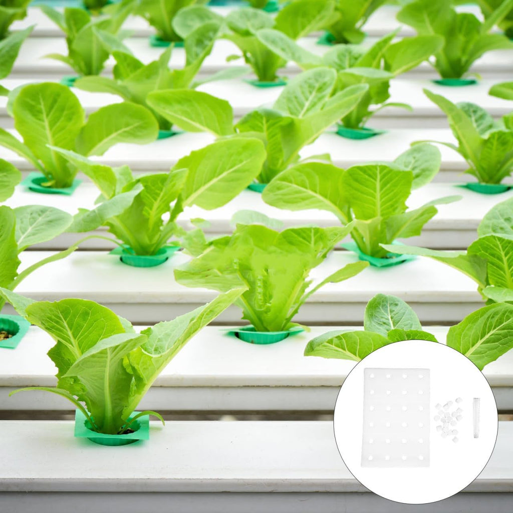 DOITOOL 24 Hydroponic Sponges Planting Tool Planting Tray with 24 Holes Floating Gardening Plate Soilless Cultivation