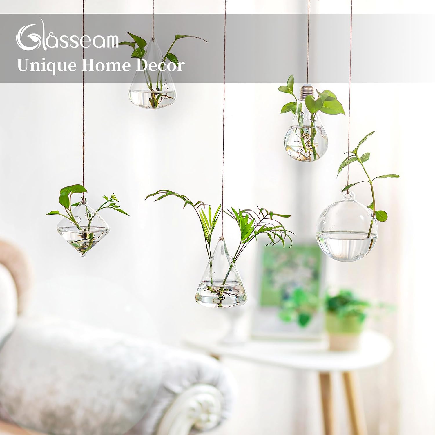 Glasseam Hanging Plant Propagation Station: 5Pcs Small Glass Terrarium Jars | Hydroponic Planters for Indoor Pothos