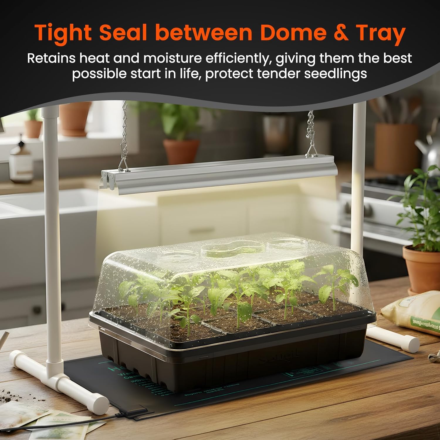 SOLIGT Thick Plastic 3-Set Strong Seed Starter Trays with 5" Humidity Domes | for Seed Starting, Germination, Seedling