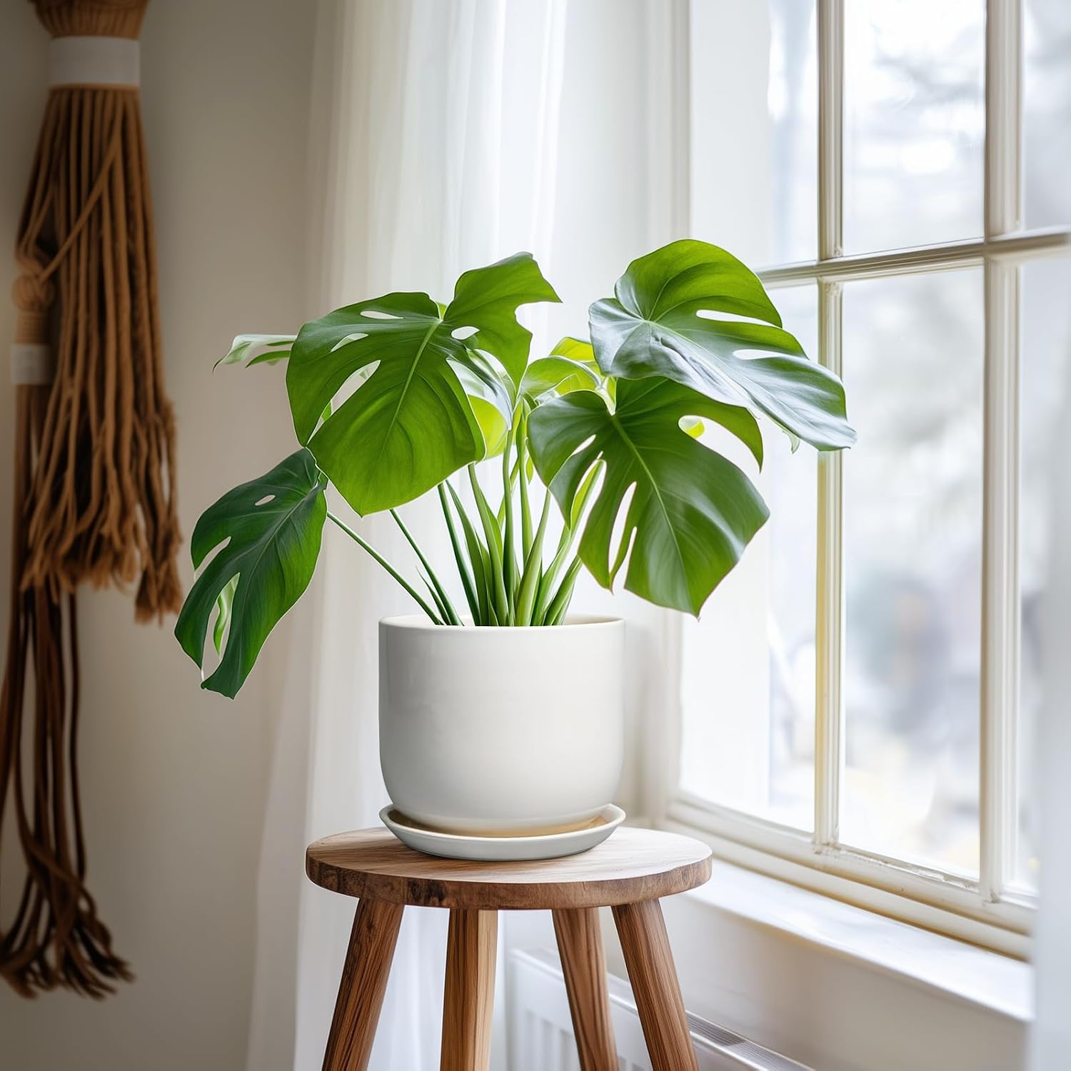 Ceramic Pot for Plants 7 Inch - Modern Round Indoor Outdoor Planter with Drainage Hole and Saucer, Home House Office