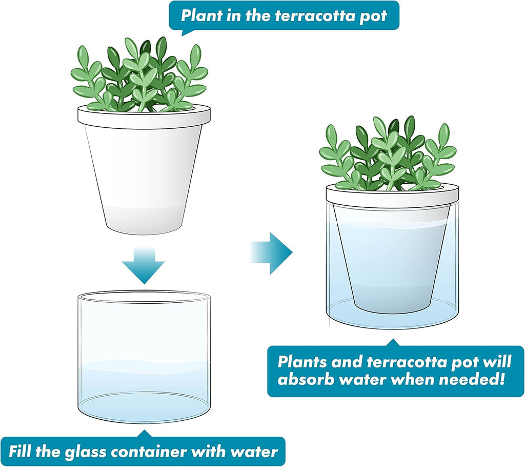 D'vine Dev Self-Watering White Terracotta Planter, 4 in, 2-Pack, 37-Y-A-2 | Terracotta & Glass Design, Clear Water