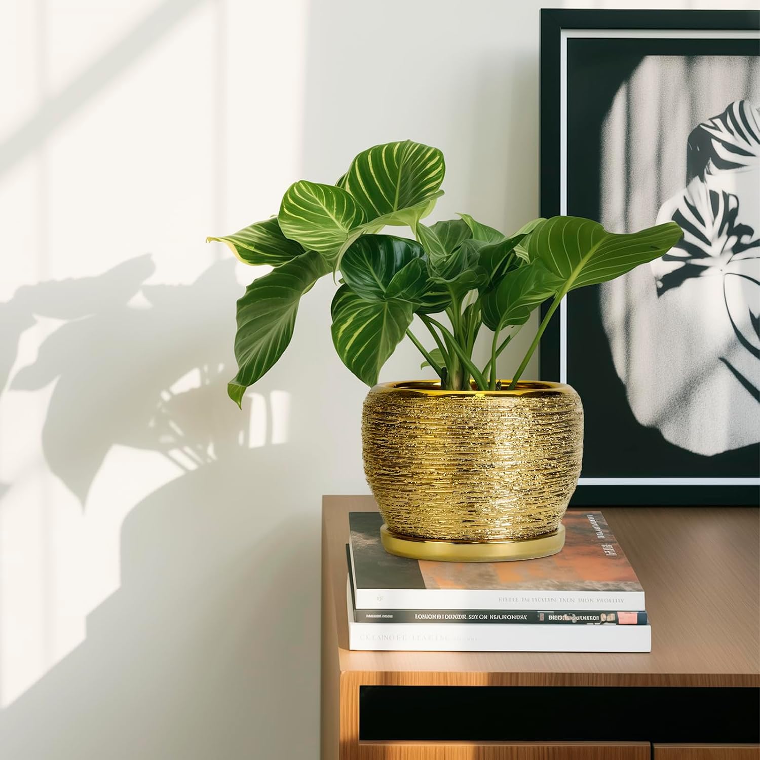 SQOWL Ceramic Planter - 6 Inch Plant Pot Indoor Outdoor, Modern Round Planter with Drainage Hole and Plant Saucer