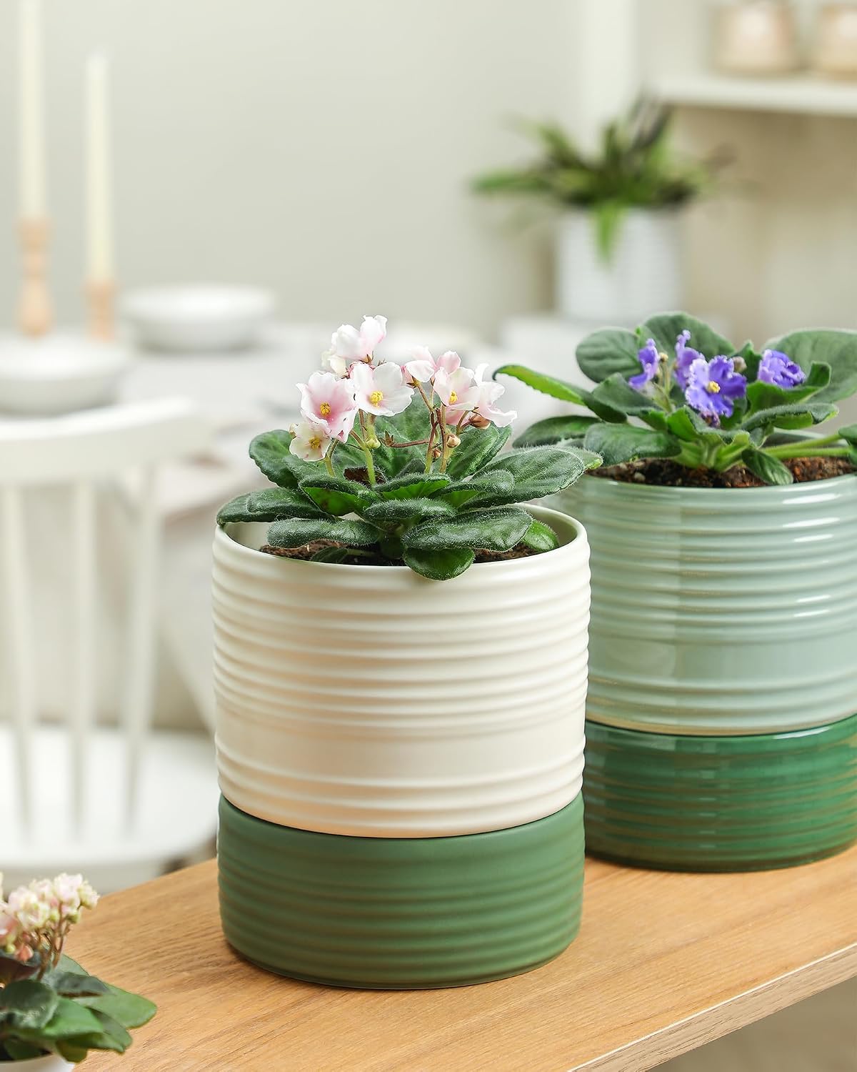 Fayoula Self Watering Pots for Indoor Plants, 6 Inch Ceramic Self Watering Plant Pot, Planter Pot with Wick Rope and