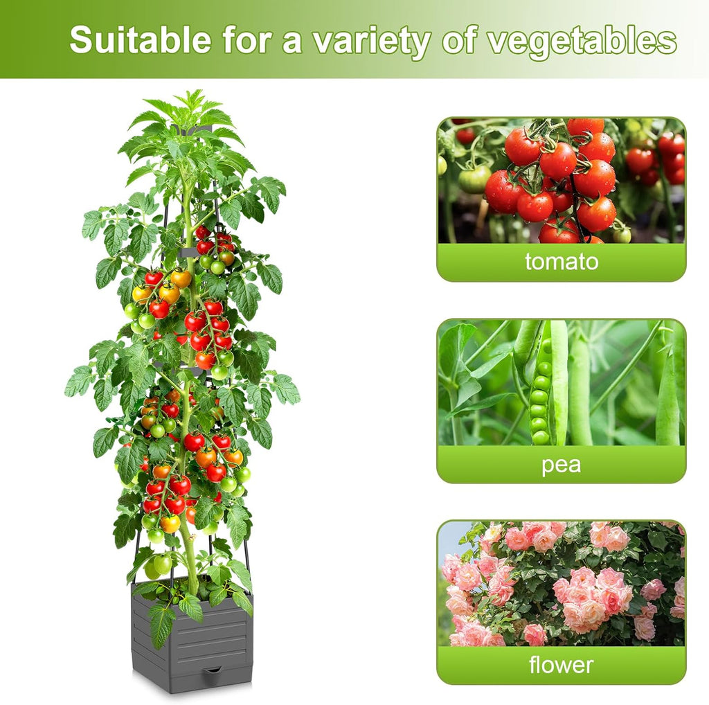 2 Pack Raised Garden Bed Tomato Planter with Trellis, 57" Tomato Cage Plant Support Planters, Self-Watering Planter for