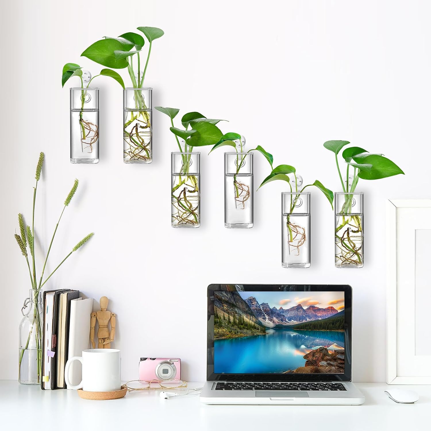 Fasmov 6 Pack Wall Hanging Glass Planters, Terrarium Holders for Air Plants, Succulents, Flowers - Square, Clear Vase