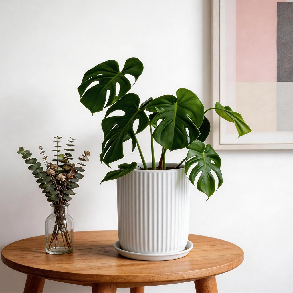 Deep Dream 8 Inch Ceramic Pots for Plants, Heavy Plant Pot for Indoor Outdoor Plants, Large Plant Pot with Drainage