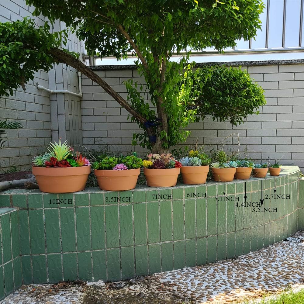 Yishang 6 Inch Terracotta Shallow Planters,Ceramic Flower Clay Plant Pots with Drainage Hole,Unglazed Cactus/succlent