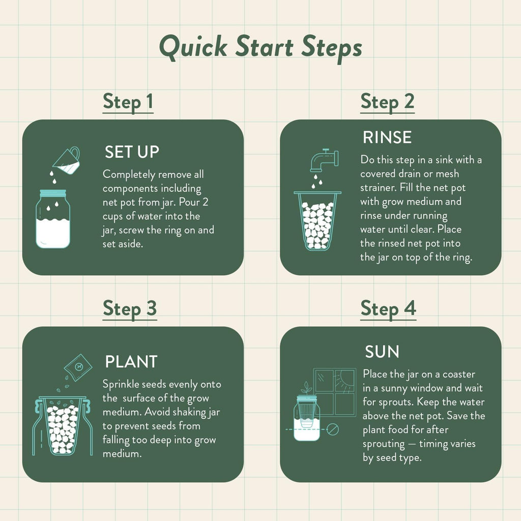Modern Sprout MasonJar+Replant Kit-Self-Watering Hydroponic System-Cilantro | Growing System Kit w/Organic Herb Seeds