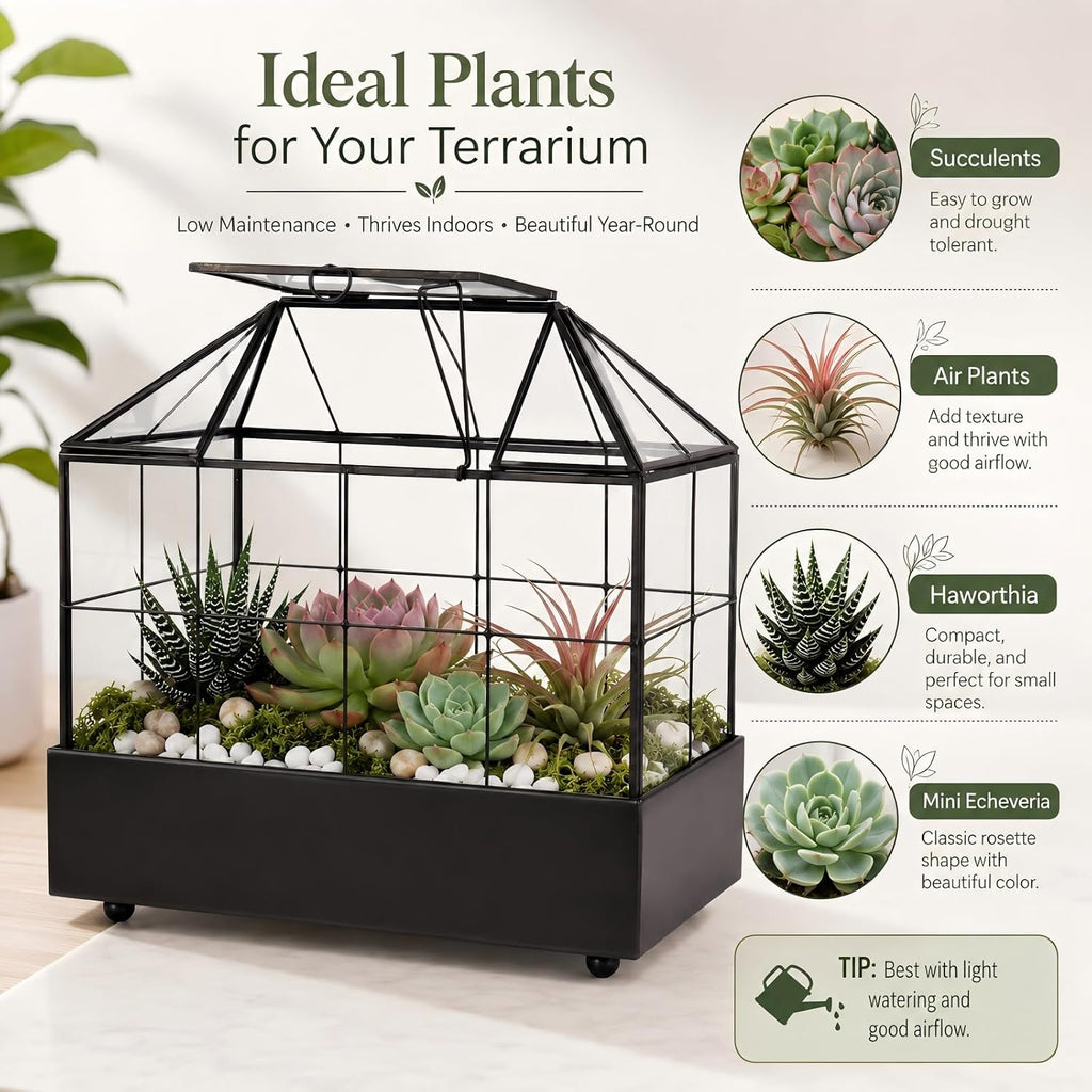 Large Tall Plant Terrarium Glass – Glass Greenhouse Terrarium with Lid and Tray,Indoor Tabletop Orchid Succulent Cacti