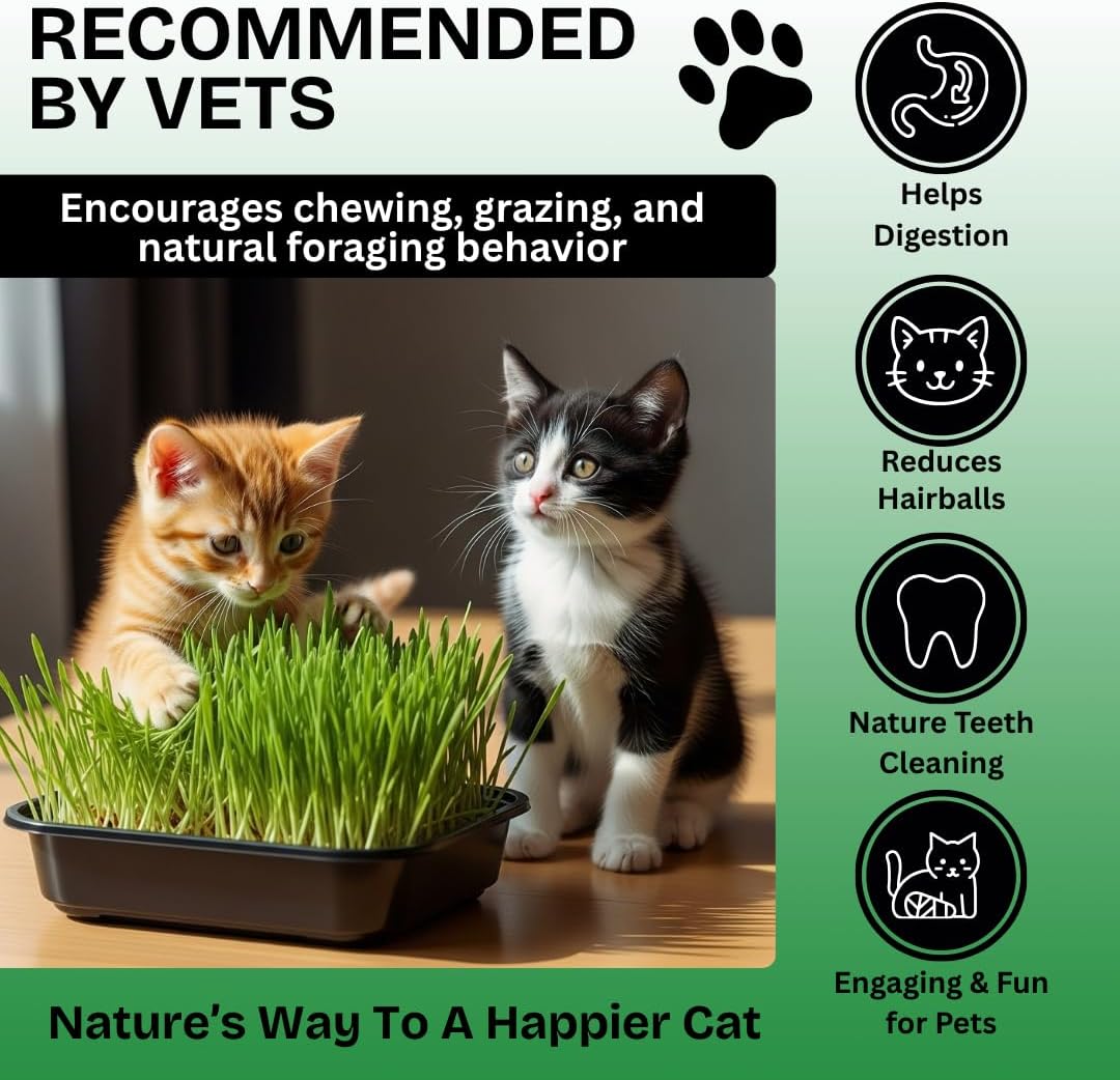 Cat Grass Seeds for Growing | 4 Way Blend, Rye, Wheat, Oats and Barley | Made in USA, Ships from Iowa. (10 Pounds)