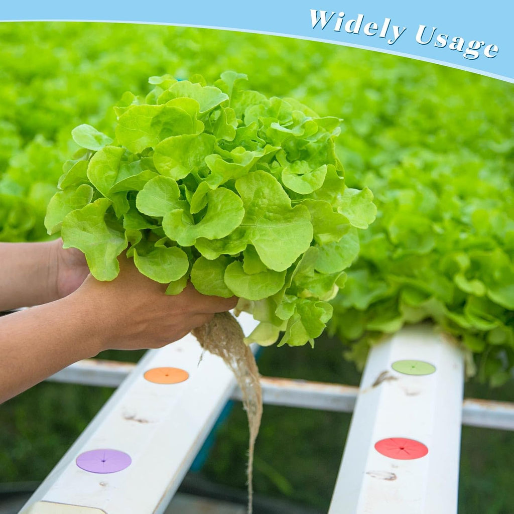 Lallisa 120 Pcs Clone Collars 2 Inch Foam Inserts for Hydroponic Cloning Machines Fits 2" Net Pots Reusable Collars for