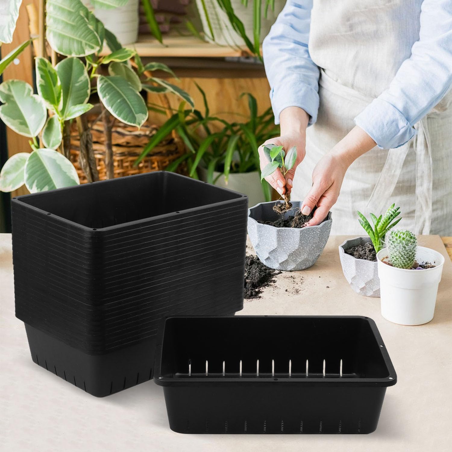 25 Pack Seed Starter Trays 10 x 7 inches Microgreens Growing Trays with Mesh Bottom for Germination, Hydroponic &
