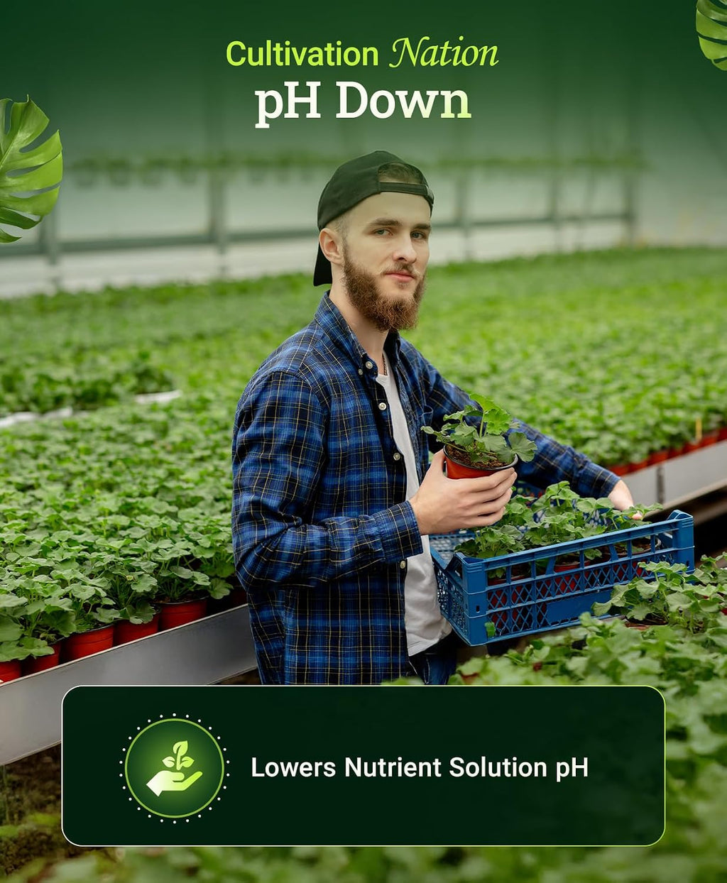 FoxFarm Cultivation Nation pH Down for Plants’ Nutrient Solutions - Formulated with Citric Acid for Adjustment - Ideal