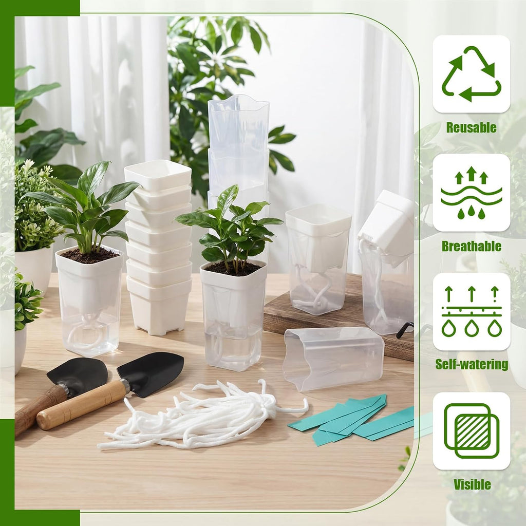 30 Pack 2" Small Self Watering Pots for Indoor Plants Clear Mini Self Watering Plant Pot with Water Level, Drainage