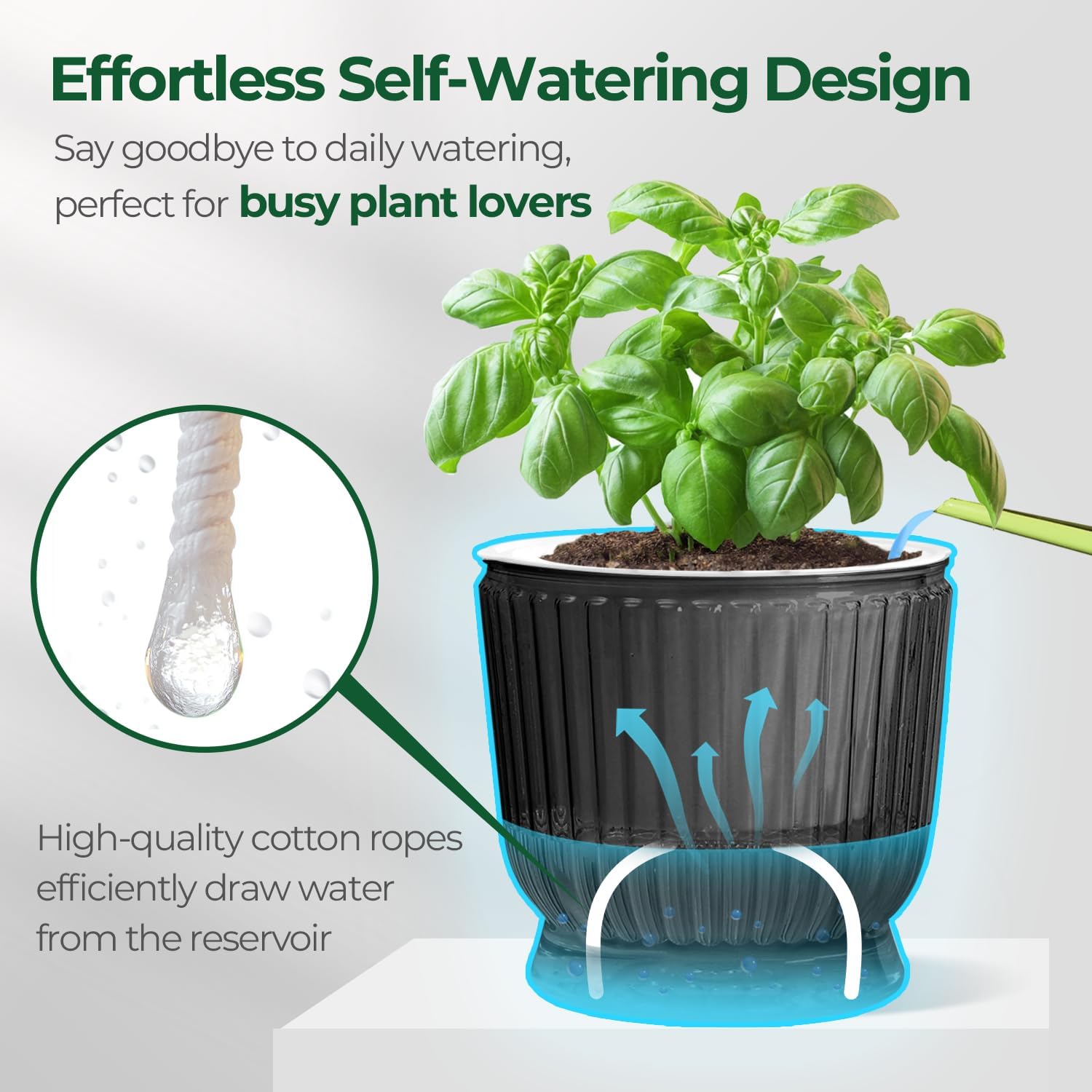 T4U Self Watering Pots for Indoor Plants 6 Inch 4 Pack Planter Gray | Clear visible water level, Pothos ferns herbs