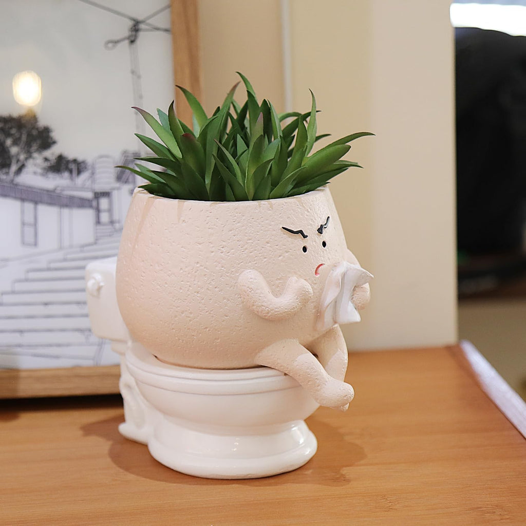 Face Planter Pots Funny Toilet Plant Pot for Indoor Plants, Cute Face Head Flower Pots Quirky Succulent Planters Gift