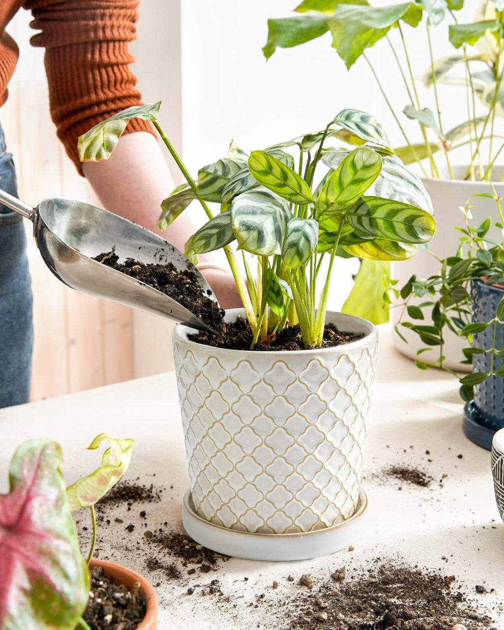 LE TAUCI Ceramic Pots for Plants, 5.4 Inch Plant Pots with Drainage Hole and Saucer, Indoor Plant Pots for Succulent