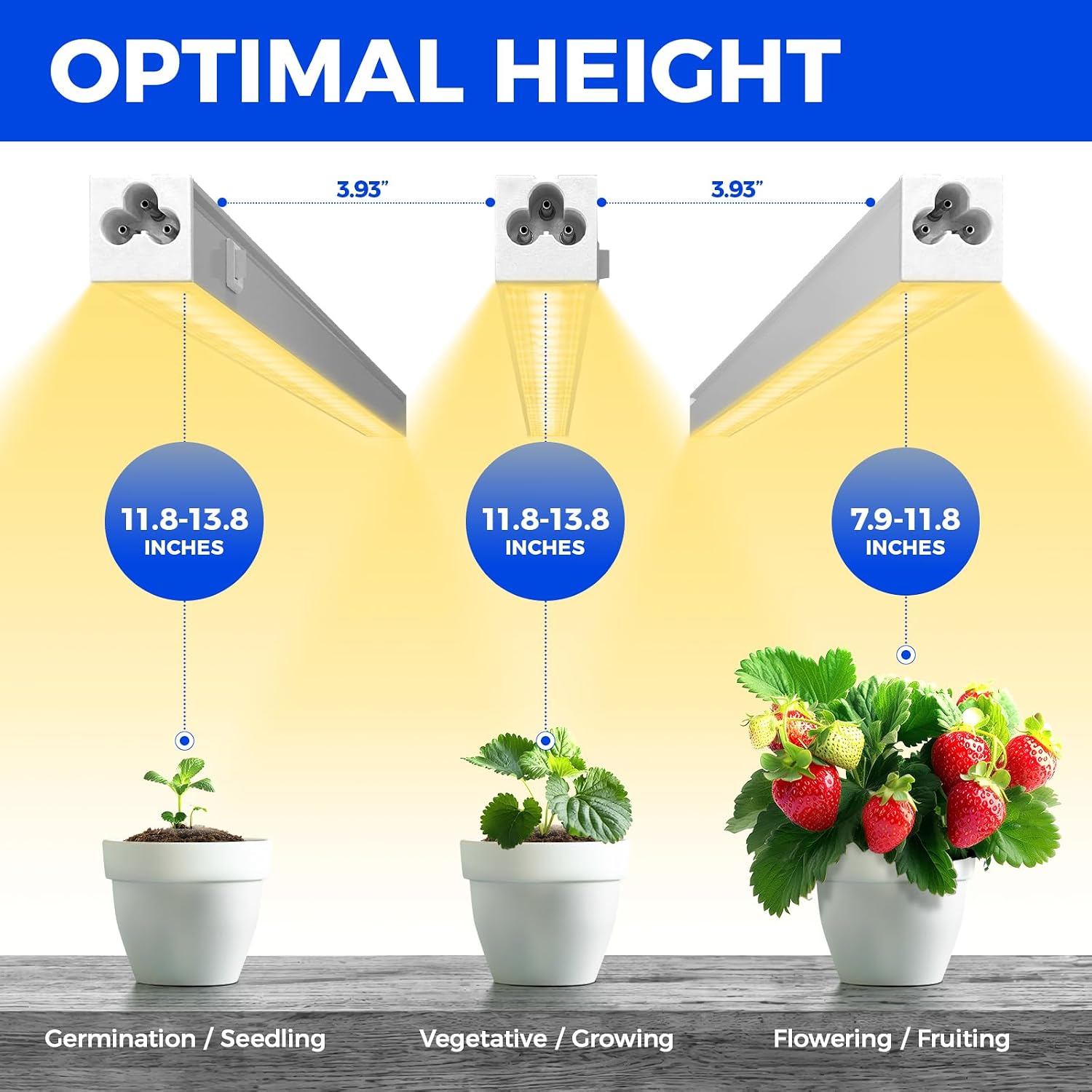 Barrina Grow Lights for Indoor Plant, Full Spectrum, T5 1FT Yellow, 4 Packs | White Cover Plant Growing Lamp, LED Grow