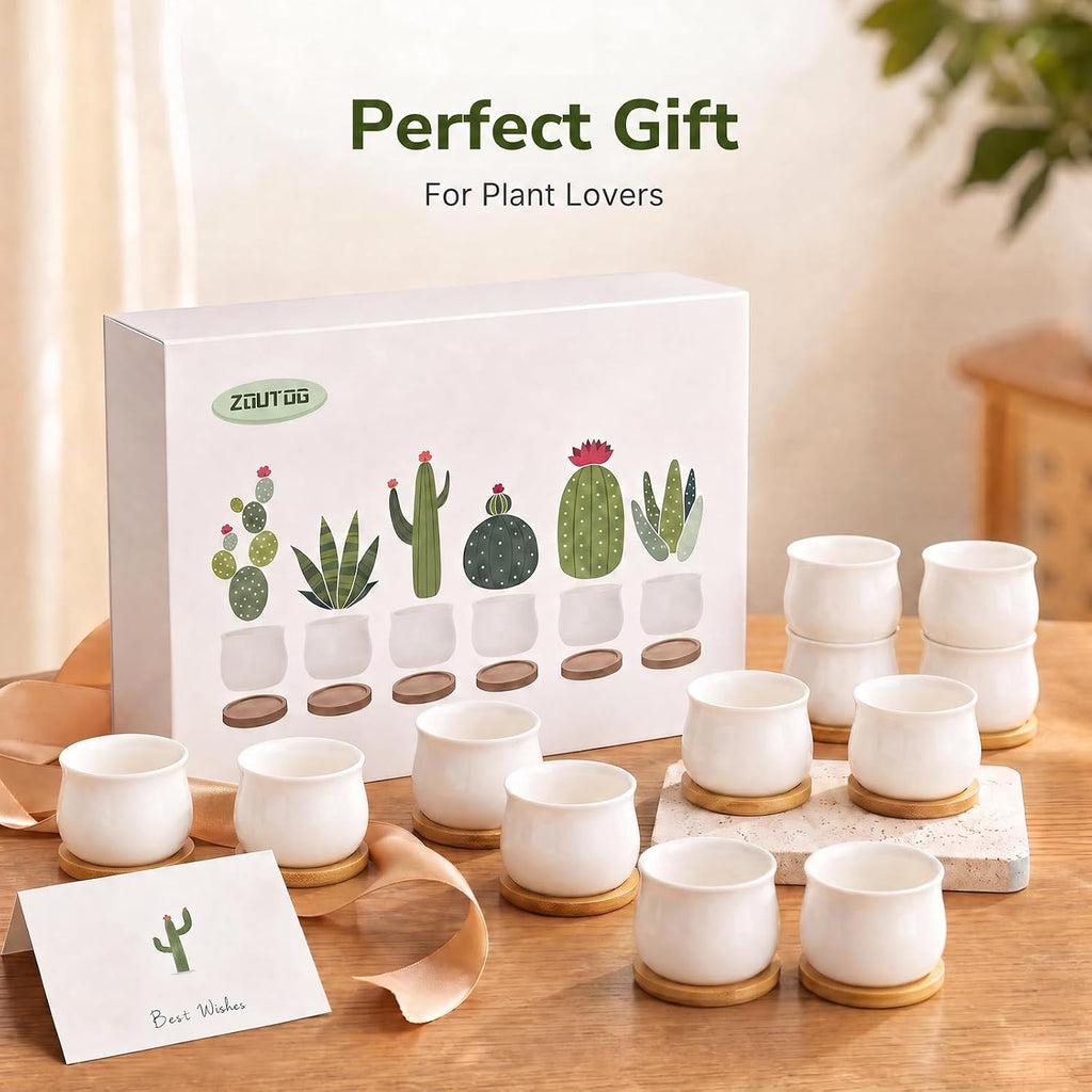 ZOUTOG 12 Pack Succulent Pots, 2.6 Inch Mini Ceramic Pots for Flower or Cactus Plants with Drainage Hole,Plants Not