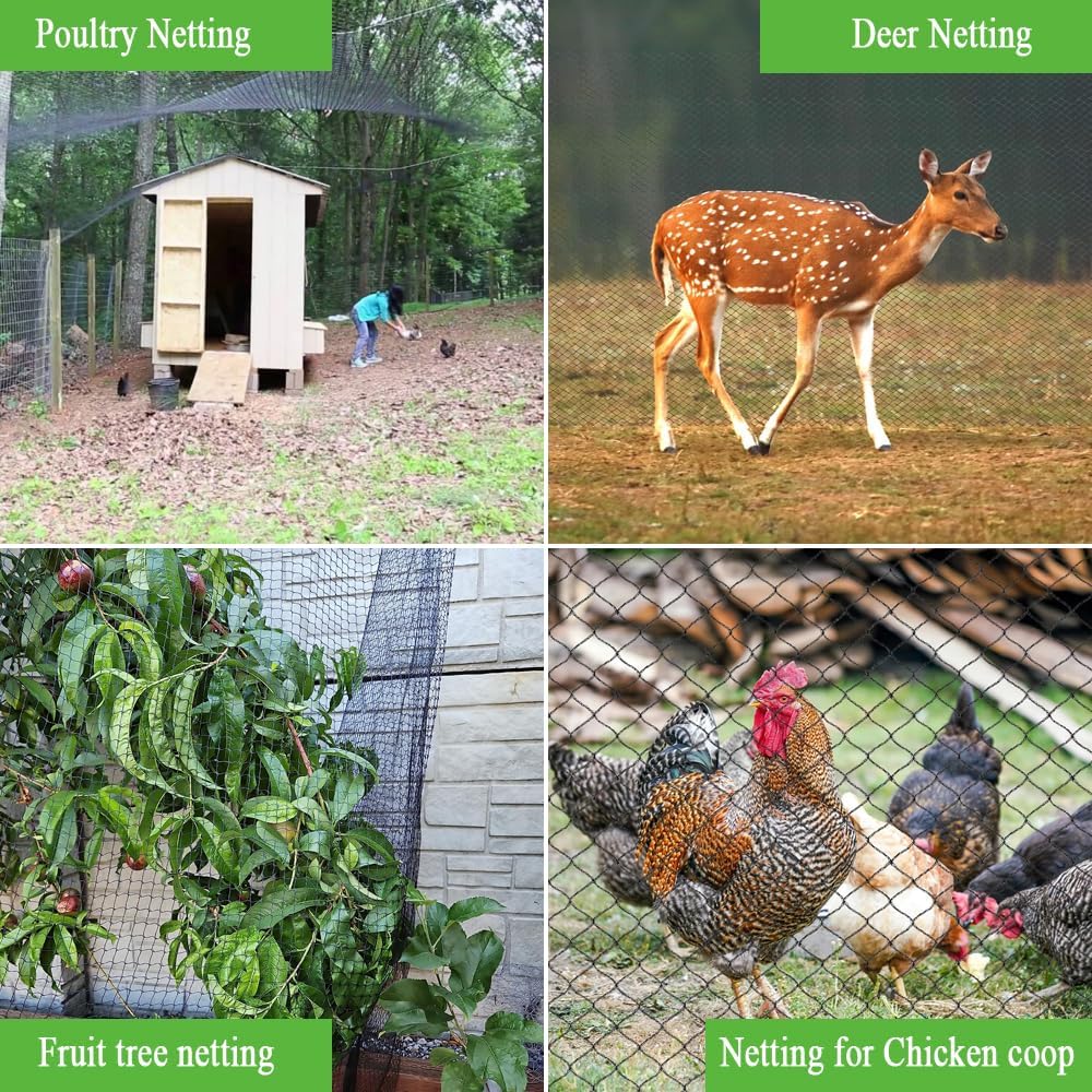 Bird Netting 25x50 Ft, 1 in Mesh Heavy Duty Garden Netting | Extra Strong Woven Mesh Netting Pest Barrier for Plants