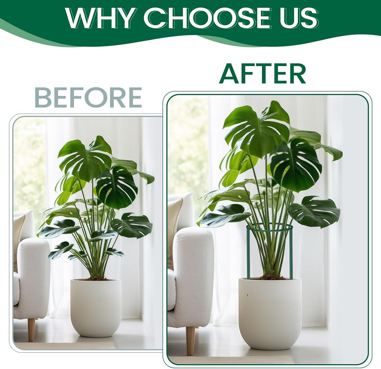 DoubleFill 24 Pcs Snake Plant Support Stakes 10" W x 16" H Half Round Peony Cages and Supports Plant Ring Metal Garden