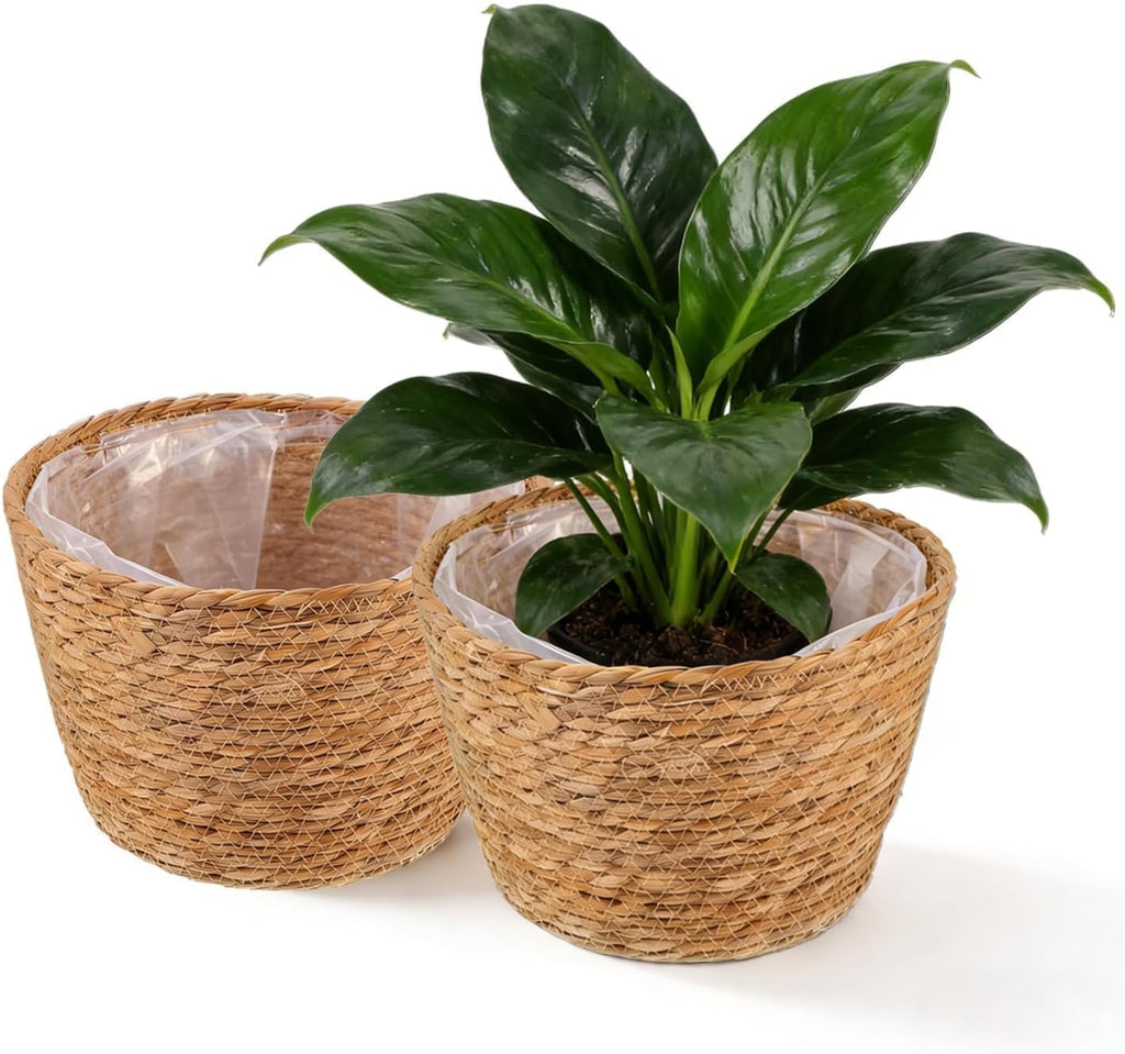 2PCS Seagrass Plant Basket for Indoor and Outdoor,Wicker Planter Basket with Liner for 6 inch Pot,Indoor Plant Pot