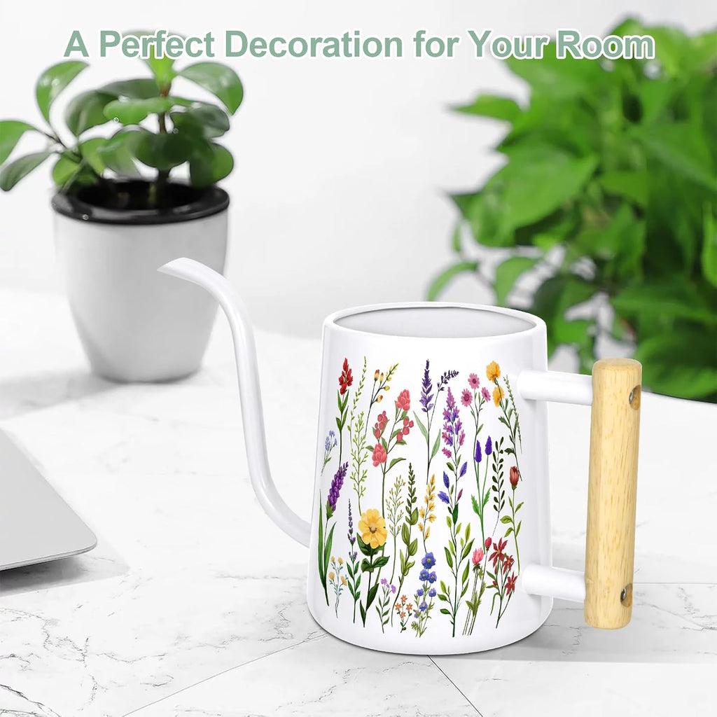 Watering Can Indoor Plants, 35 oz/1000 ml Metal Stainless Steel Watering Can Pot with Long Spout for Indoor House