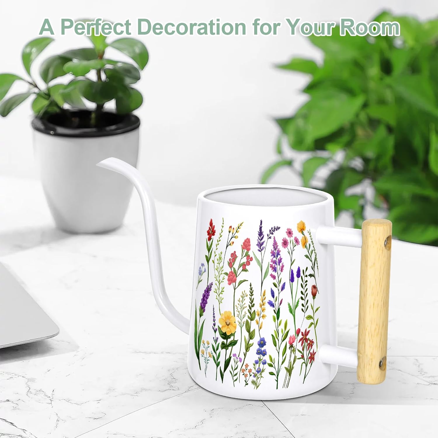 Watering Can Indoor Plants, 35 oz/1000 ml Metal Stainless Steel Watering Can Pot with Long Spout for Indoor House