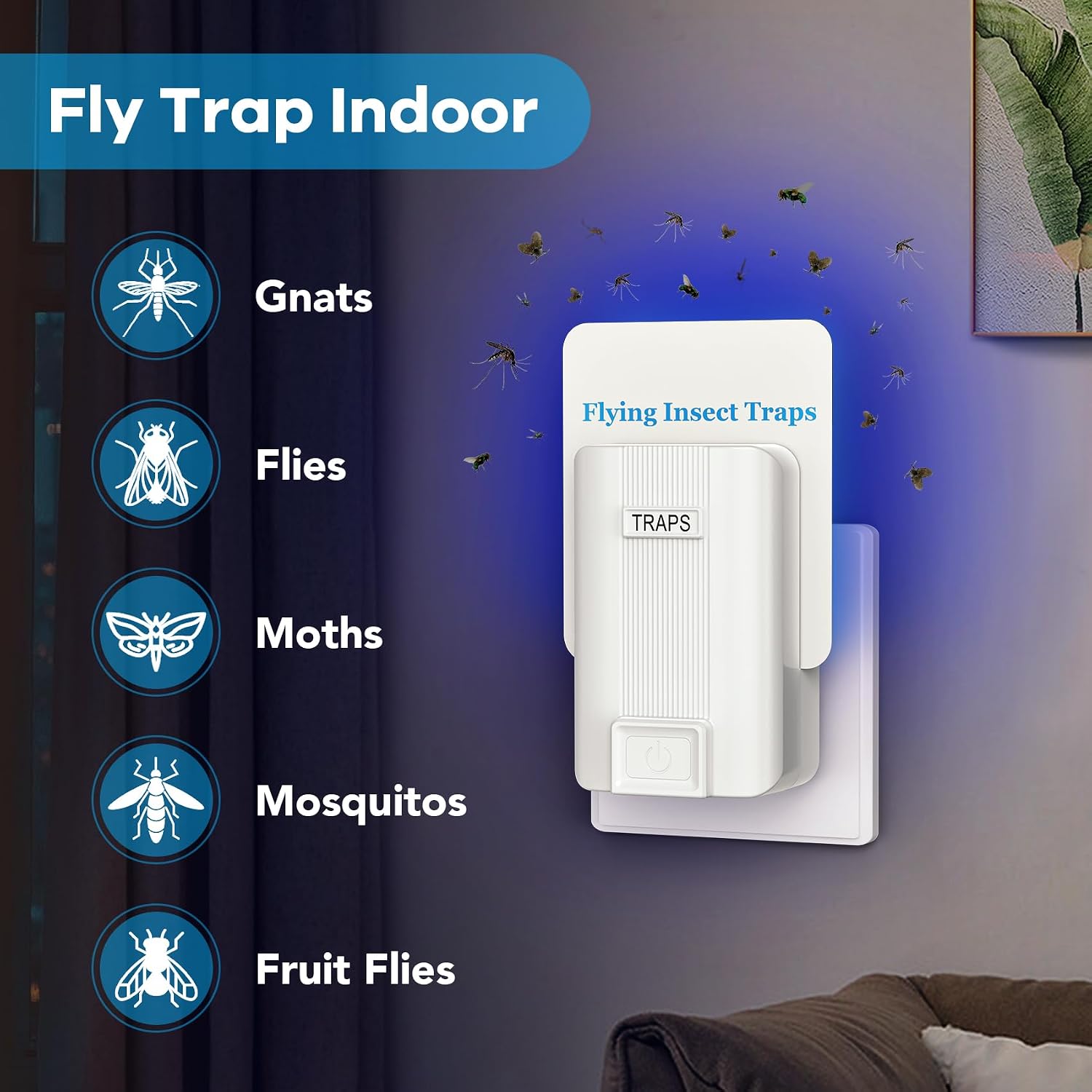 Indoor Fly Trap, Plug-in Fruit Fly Trap with 2 Devices and 6 Sticky Refills | Gnat Trap for Fruit Flies, Gnats, Flies