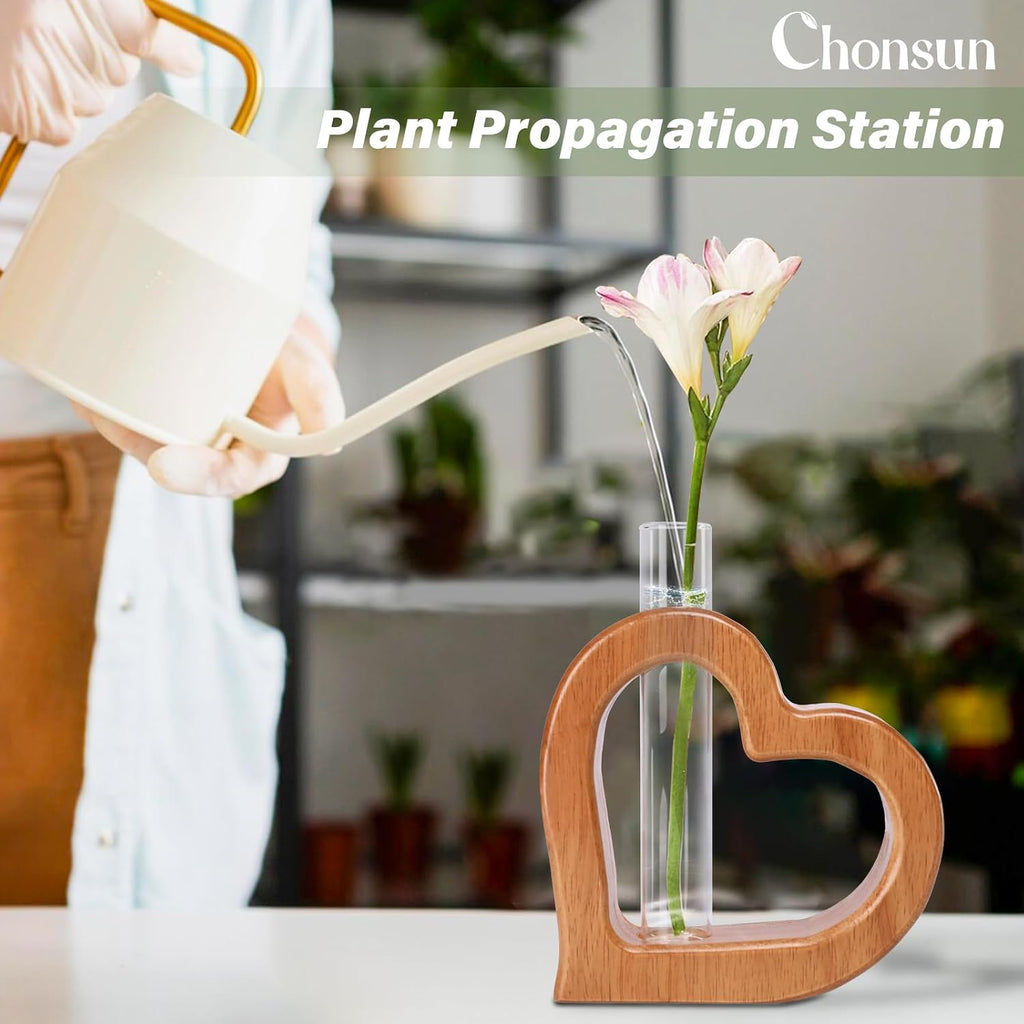 Plant Propagation Stations 2 PCS Wall Hanging Planters | Wall hanging Glass Tubes Terrarium Plants for Indoor Plant