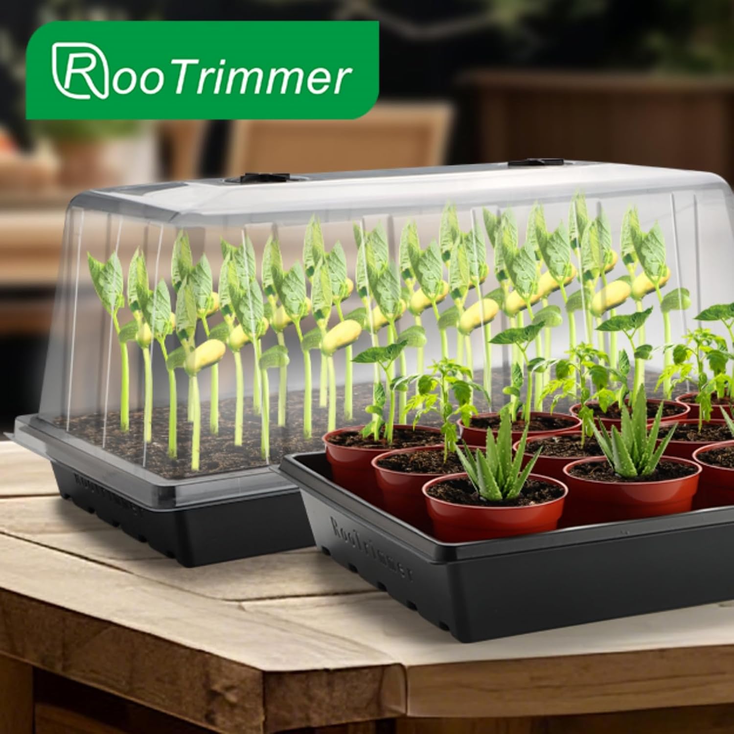 1020 Seed Starting Trays with Tall 7.3" Humidity Dome, No Hole, 5-Pack | Heavy Duty Plant Tray with High Lid for Taller