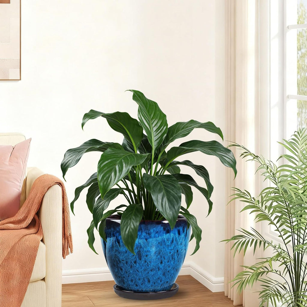 Ceramic Plant Pots With Saucer & Drainage Hole, 10 inch Indoor Flower Pots | Glaze Planters For Indoor Plant