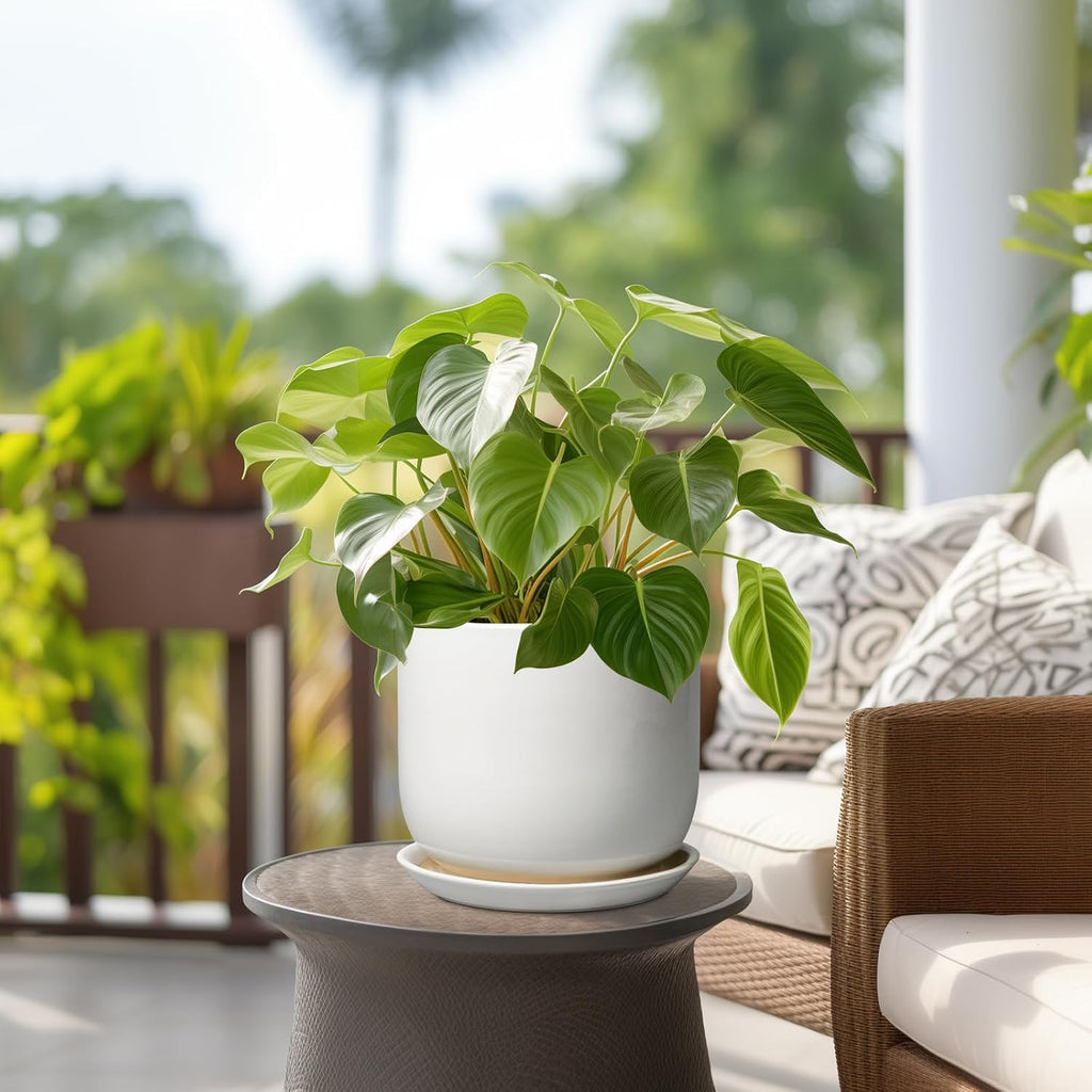 Ceramic Plant Pot - Modern 8 Inch Round Planter for Indoor Outdoor Plants with Drainage Hole and Saucer, Home House