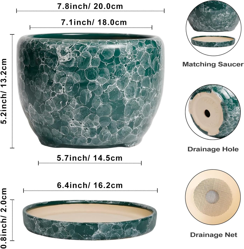 SQOWL 8 Inch Plant Pot - Ceramic Planter for Indoor Plants, Decorative Flower Pot with Drainage Hole and Saucer, Round