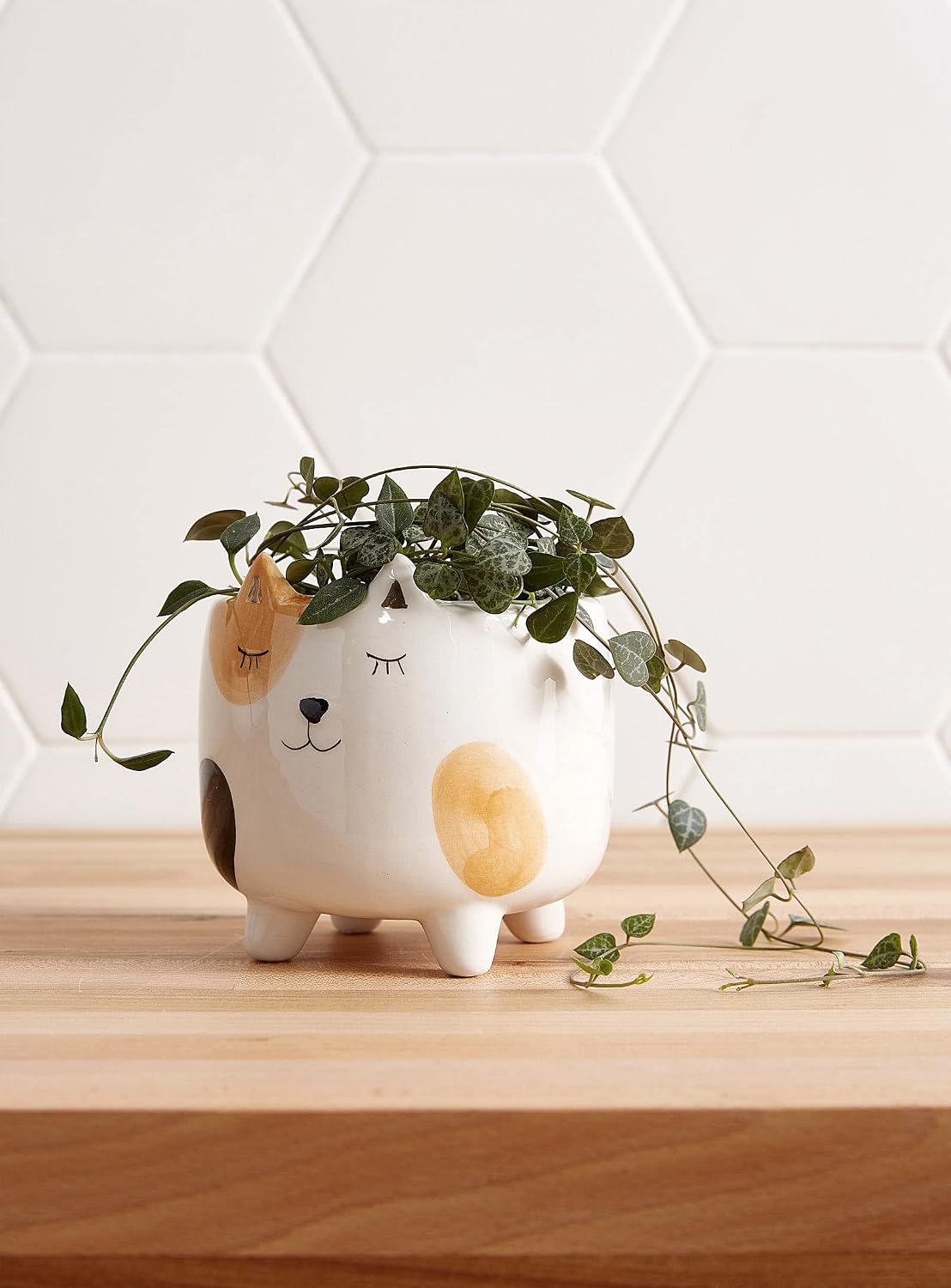 Cat Planter Pot | Indoor Planter for Plants | Cat Lover and Gardening Gift | Animal Succulent Planter | Gifts for Women