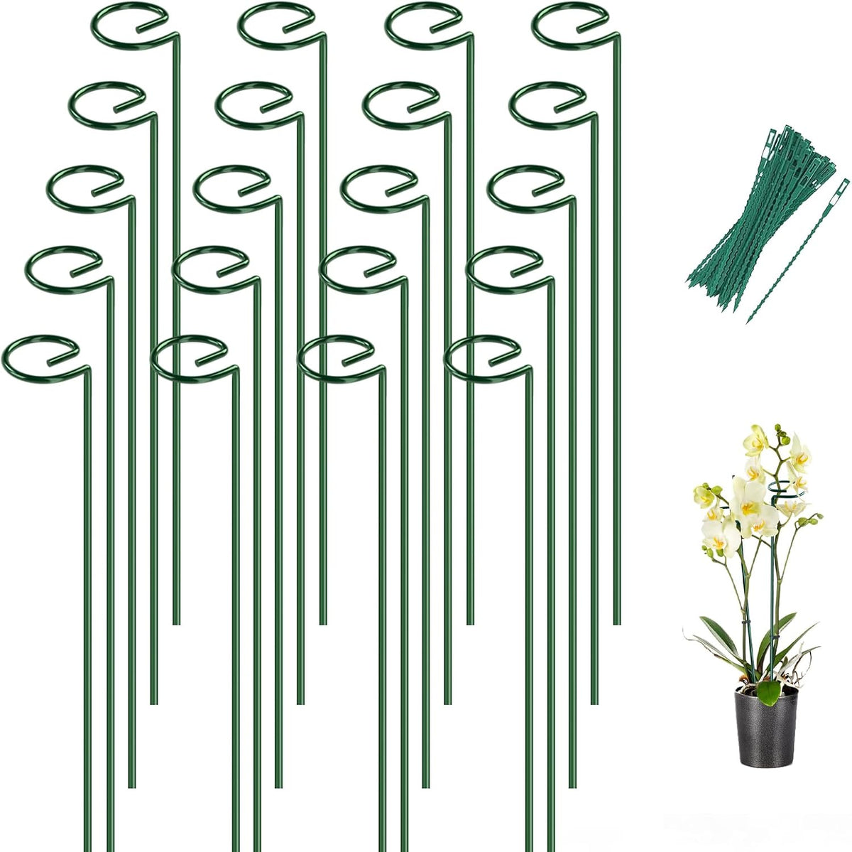 Thealyn 20 Pack 16 Inch Plant Support Stakes, Metal Single stemmed Flower Support Hoops，Garden Plant Stakes Plant Prop for Amaryllis Orchid Lily Rose Peony Tomatoes Gladiolus