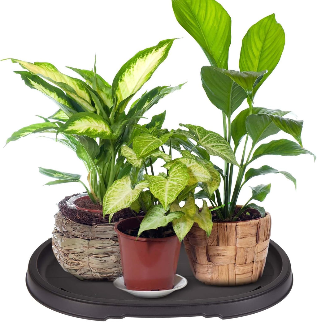 Pinkunn 2 Pcs Bonsai Humidity Drip Tray for Plants,16.3 x 10.8 Inch | Plastic Plant Water Catcher, Oval Plant Saucers