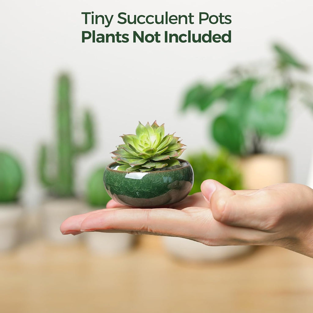 T4U 2.5 Inch Small Ceramic Succulent Planter Pot with Drainage Hole Set of 12, Ice Crack Glaze Plant Container for