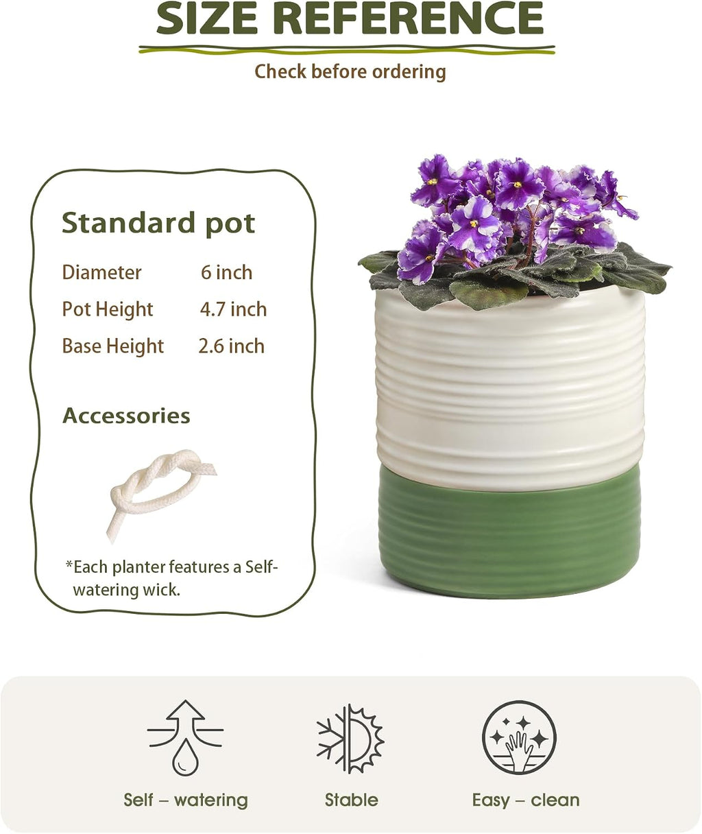 Fayoula Self Watering Pots for Indoor Plants, 6 Inch Ceramic Self Watering Plant Pot, Planter Pot with Wick Rope and