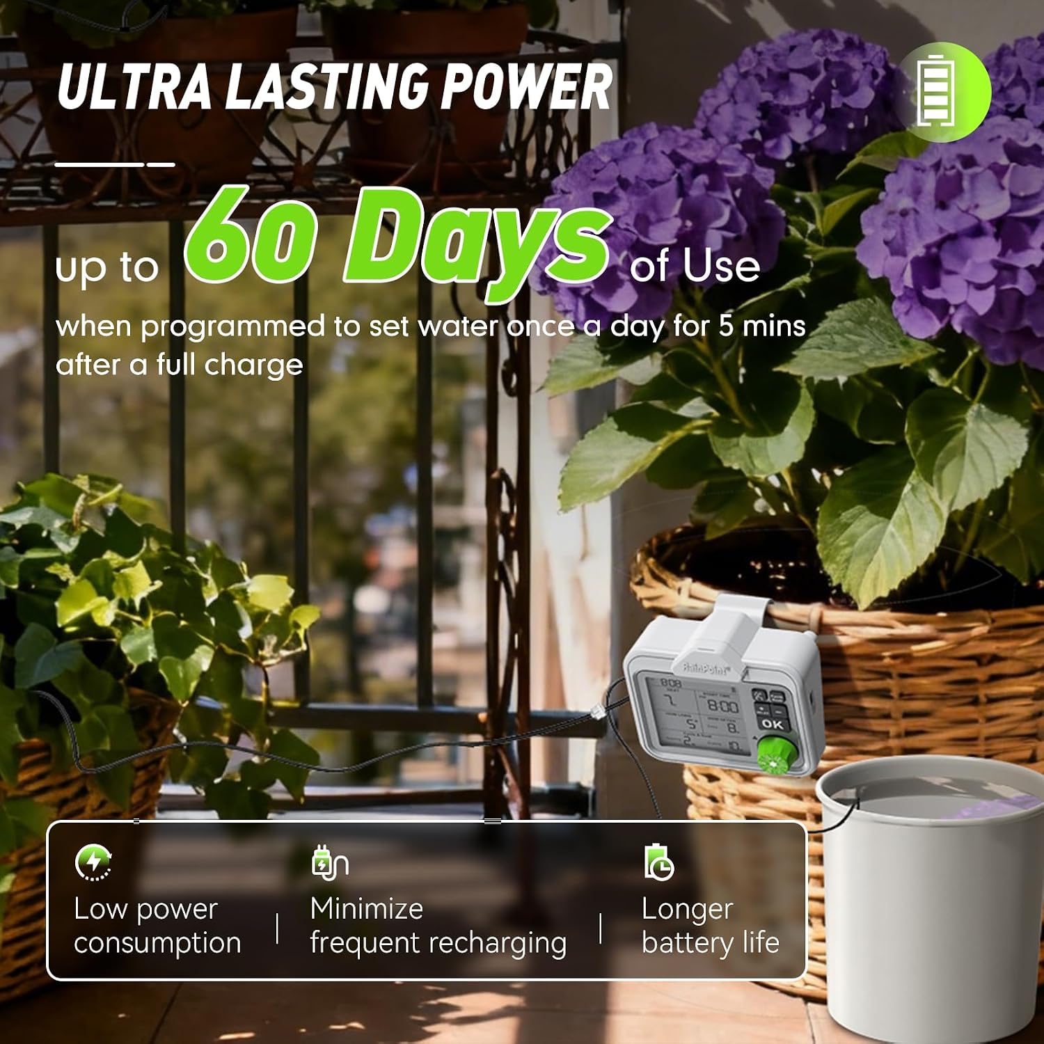 RAINPOINT Indoor Large Display Automatic Plant Waterer Kit | Drip Irrigation System with Next Watering Countdown