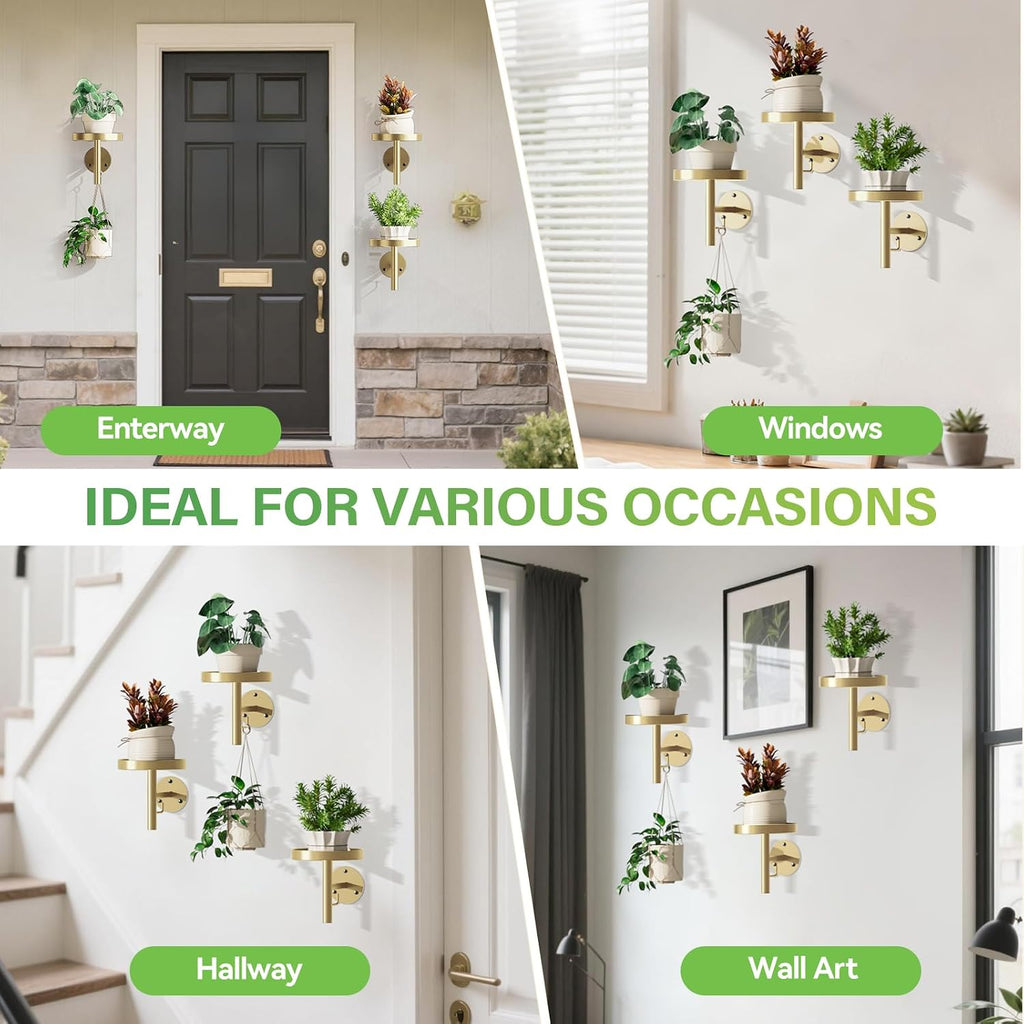 DELLAN Wall Plant Holder, 3-Pack Floating Shelves for Plants, All Gold | Wall mounted indoor hanging plants shelf &