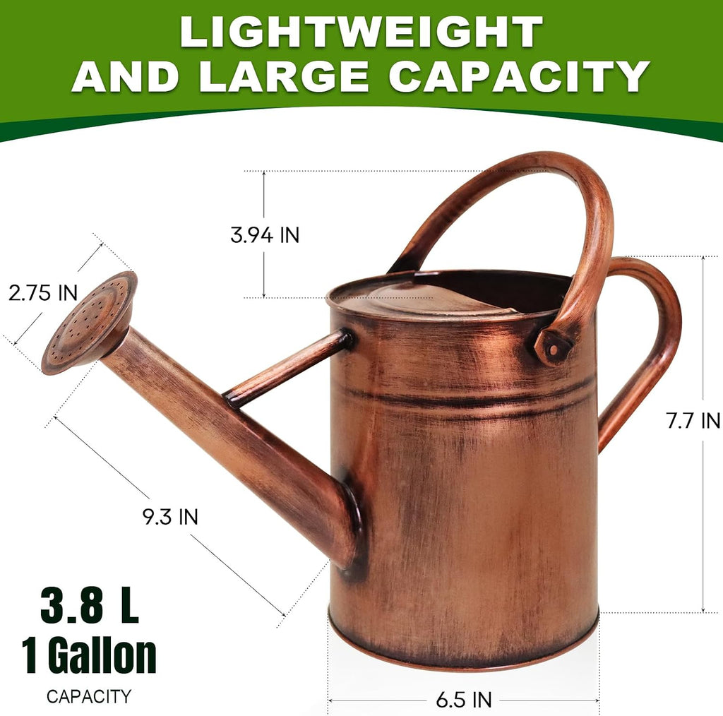 Metal Watering Can with Removable Spout, Galvanized Watering Can, Perfect for Indoor Use and for Outdoor Use (1