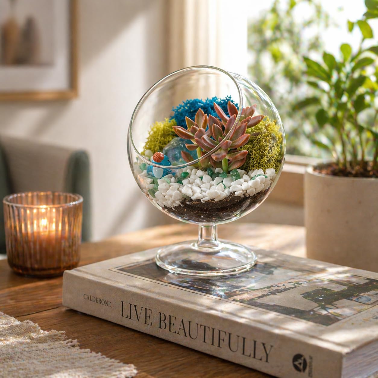 Creations by Nathalie DIY 6" Chalice Terrarium Kit Build Your Own Glass Terrarium for Adults & Teens, DIY Terrarium Kit