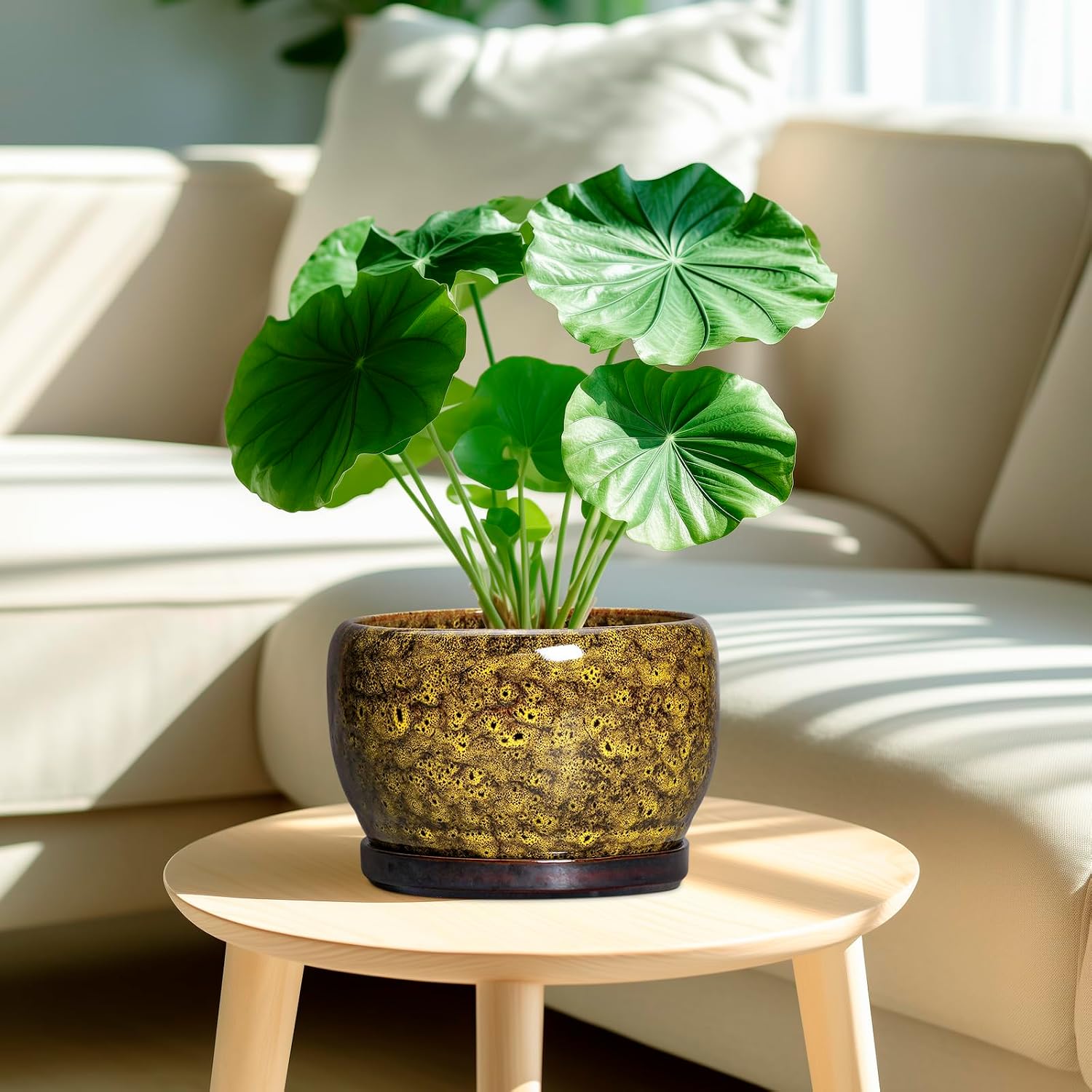 SQOWL Ceramic Flower Pots - 8 inch Ceramic Planter for Indoor Plants, Decorative Plant Pots with Drainage Hole and